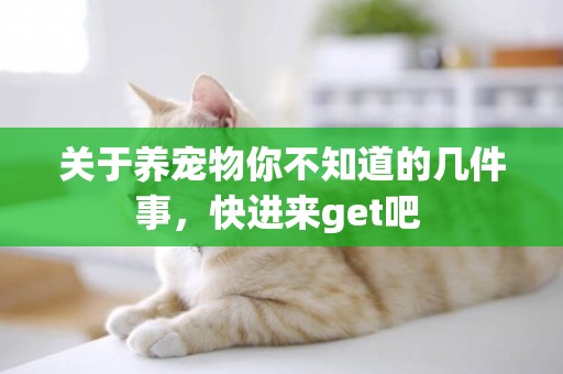 關于養寵物你不知道的幾件事，快進來get吧 