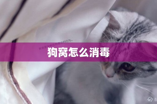 狗窩怎么消毒