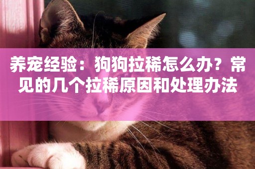 養寵經驗：狗狗拉稀怎么辦？常見的幾個拉稀原因和處理辦法 