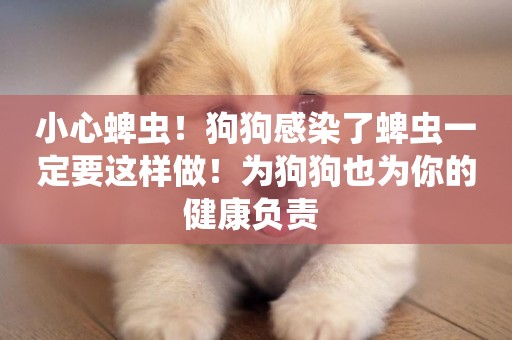 小心蜱蟲！狗狗感染了蜱蟲一定要這樣做！為狗狗也為你的健康負責 