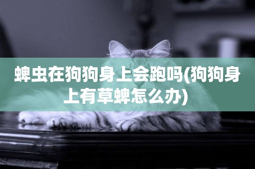 蜱蟲在狗狗身上會跑嗎(狗狗身上有草蜱怎么辦) 