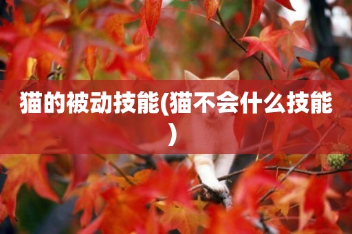 貓的被動技能(貓不會什么技能) 