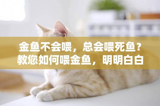 金魚不會喂，總會喂死魚？教您如何喂金魚，明明白白喂金魚 