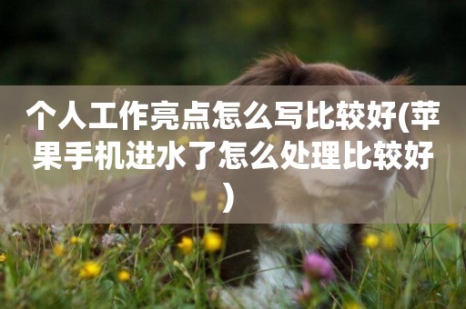 個人工作亮點怎么寫比較好(蘋果手機進水了怎么處理比較好) 