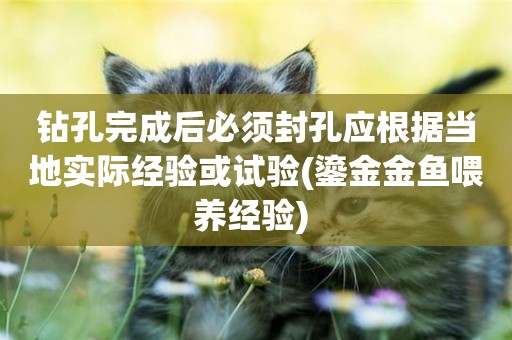 鉆孔完成后必須封孔應根據當地實際經驗或試驗(鎏金金魚喂養經驗) 