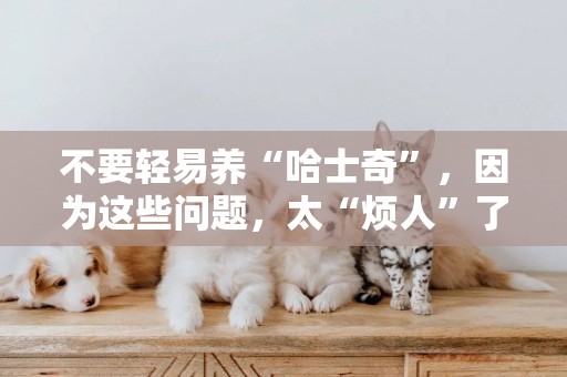 不要輕易養“哈士奇”，因為這些問題，太“煩人”了 