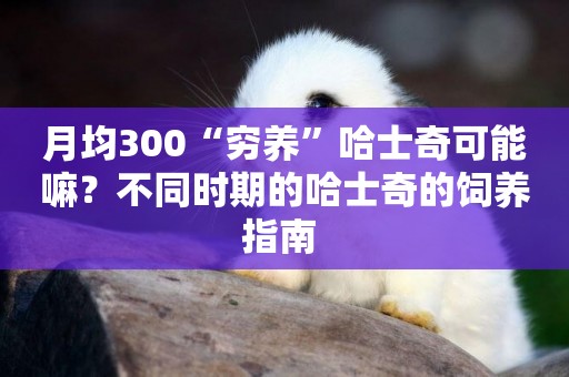 月均300“窮養”哈士奇可能嘛？不同時期的哈士奇的飼養指南 