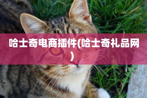 哈士奇電商插件(哈士奇禮品網) 