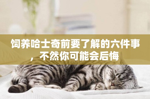 飼養哈士奇前要了解的六件事，不然你可能會后悔 