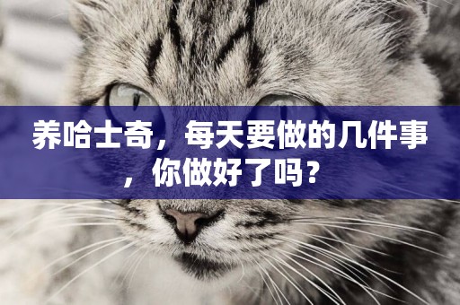 養哈士奇，每天要做的幾件事，你做好了嗎？ 