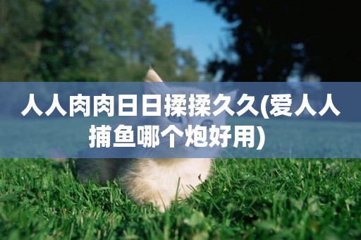 人人肉肉日日揉揉久久(愛人人捕魚哪個炮好用) 