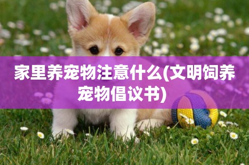 家里養寵物注意什么(文明飼養寵物倡議書) 