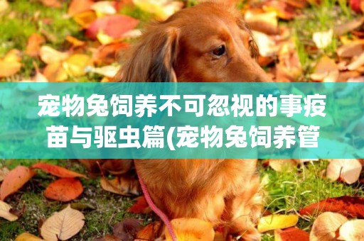 寵物兔飼養不可忽視的事疫苗與驅蟲篇(寵物兔飼養管理的要點) 