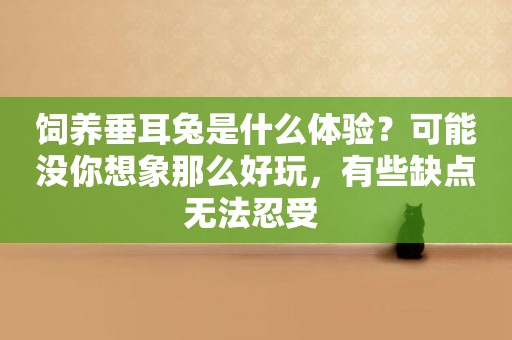 飼養垂耳兔是什么體驗？可能沒你想象那么好玩，有些缺點無法忍受 