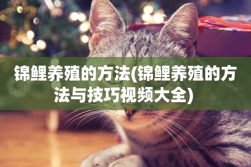 錦鯉養殖的方法(錦鯉養殖的方法與技巧視頻大全) 