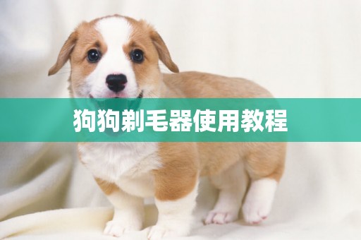 狗狗剃毛器使用教程