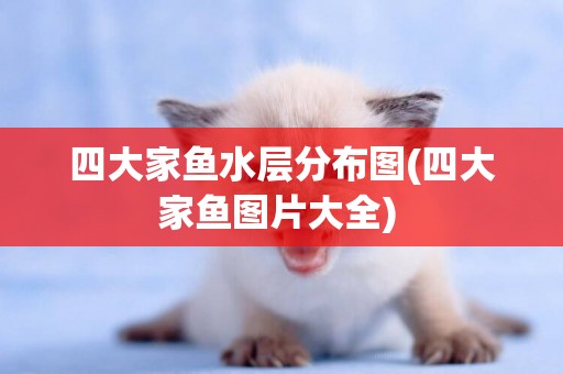 四大家魚水層分布圖(四大家魚圖片大全) 