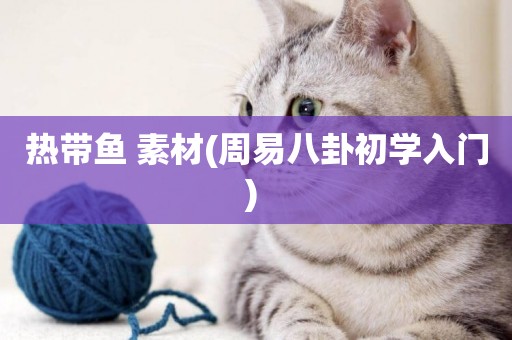 熱帶魚 素材(周易八卦初學入門) 