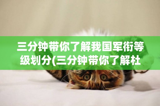 三分鐘帶你了解我國軍銜等級劃分(三分鐘帶你了解杜甫) 