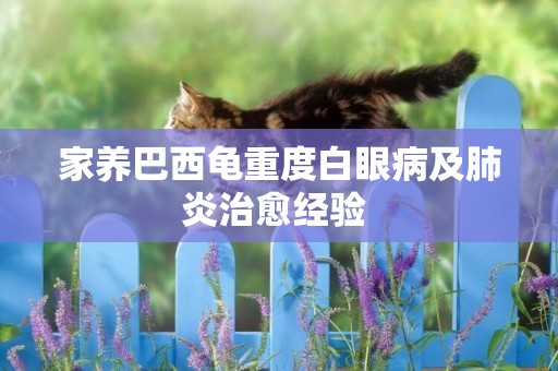 家養巴西龜重度白眼病及肺炎治愈經驗 