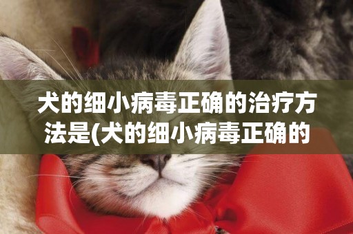 犬的細小病毒正確的治療方法是(犬的細小病毒正確的治療方法是什么) 