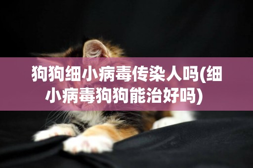 狗狗細小病毒傳染人嗎(細小病毒狗狗能治好嗎) 
