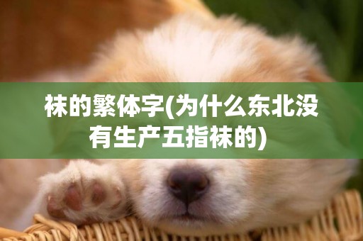襪的繁體字(為什么東北沒有生產五指襪的) 