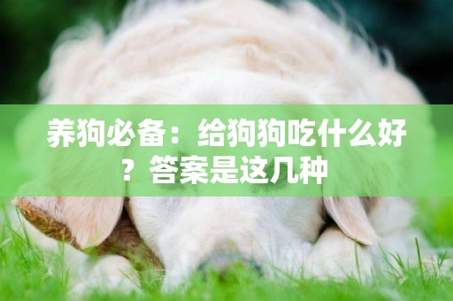 養狗必備：給狗狗吃什么好？答案是這幾種 