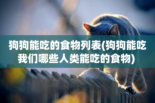 狗狗能吃的食物列表(狗狗能吃我們哪些人類能吃的食物) 