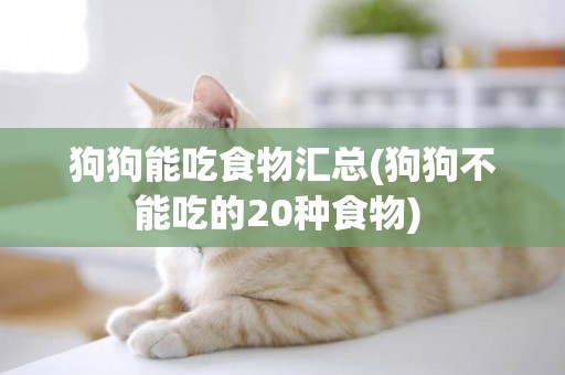 狗狗能吃食物匯總(狗狗不能吃的20種食物) 