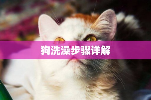 狗洗澡步驟詳解