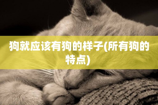 狗就應該有狗的樣子(所有狗的特點) 