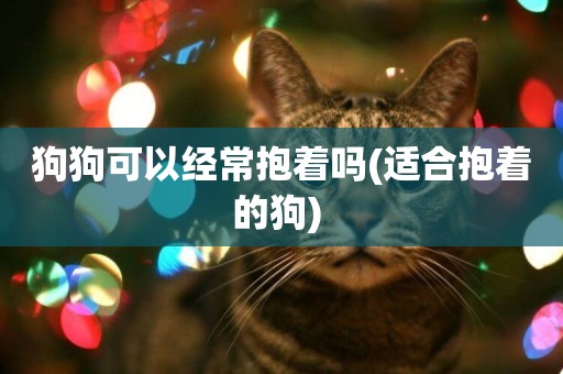 狗狗可以經常抱著嗎(適合抱著的狗) 