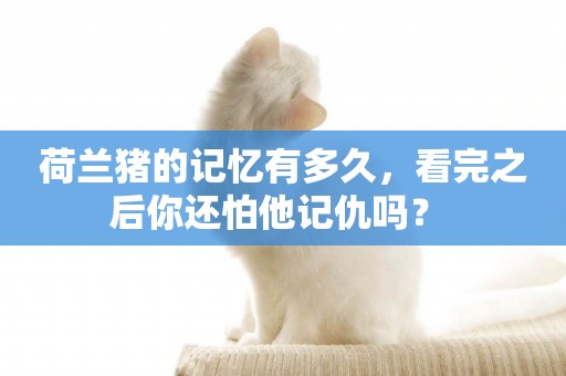 荷蘭豬的記憶有多久，看完之后你還怕他記仇嗎？ 