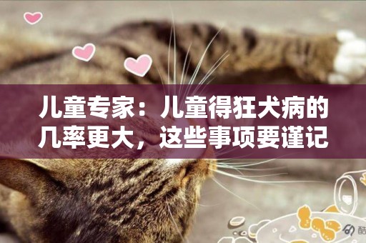 兒童專家：兒童得狂犬病的幾率更大，這些事項要謹記 