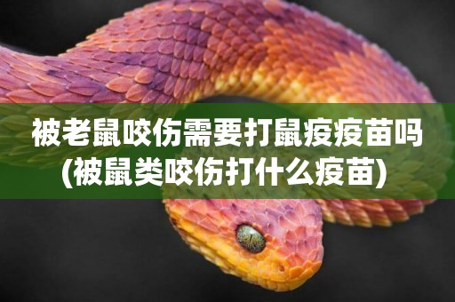 被老鼠咬傷需要打鼠疫疫苗嗎(被鼠類咬傷打什么疫苗) 