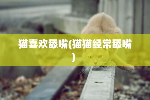 貓喜歡舔嘴(貓貓經常舔嘴) 