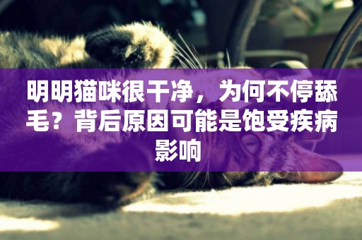 明明貓咪很干凈，為何不停舔毛？背后原因可能是飽受疾病影響 