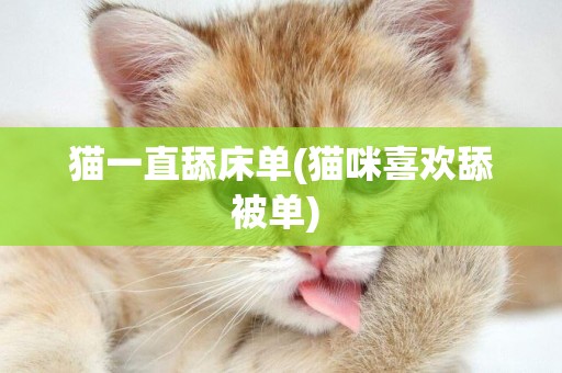貓一直舔床單(貓咪喜歡舔被單) 