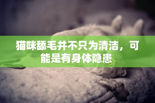 貓咪舔毛并不只為清潔，可能是有身體隱患 