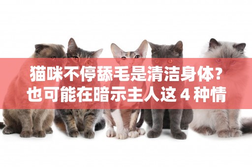 貓咪不停舔毛是清潔身體？也可能在暗示主人這４種情況 