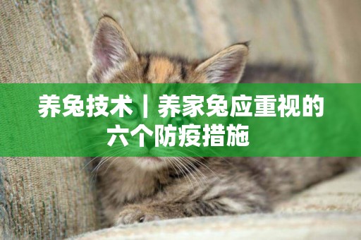 養兔技術｜養家兔應重視的六個防疫措施 