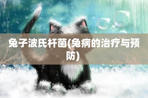 兔子波氏桿菌(兔病的治療與預防) 