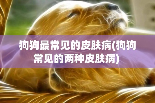 狗狗最常見的皮膚病(狗狗常見的兩種皮膚病) 