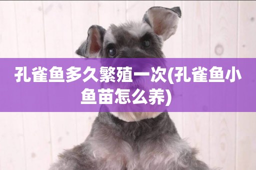孔雀魚多久繁殖一次(孔雀魚小魚苗怎么養) 