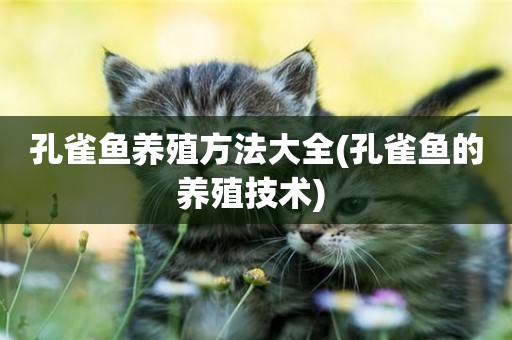 孔雀魚養殖方法大全(孔雀魚的養殖技術) 