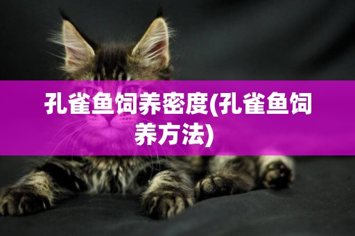 孔雀魚飼養密度(孔雀魚飼養方法) 