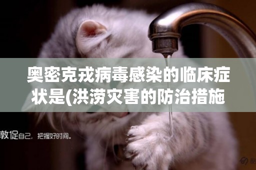 奧密克戎病毒感染的臨床癥狀是(洪澇災害的防治措施) 