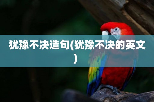猶豫不決造句(猶豫不決的英文) 