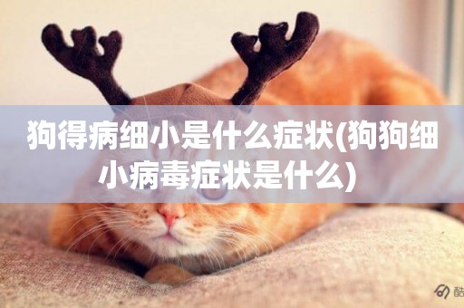 狗得病細小是什么癥狀(狗狗細小病毒癥狀是什么) 